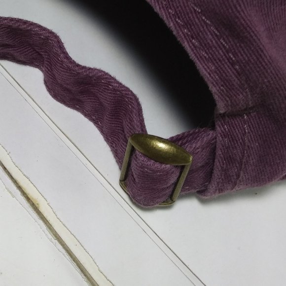 NWOT Wisconsin ball cap adjustable strap family one size fits most - Picture 2 of 8